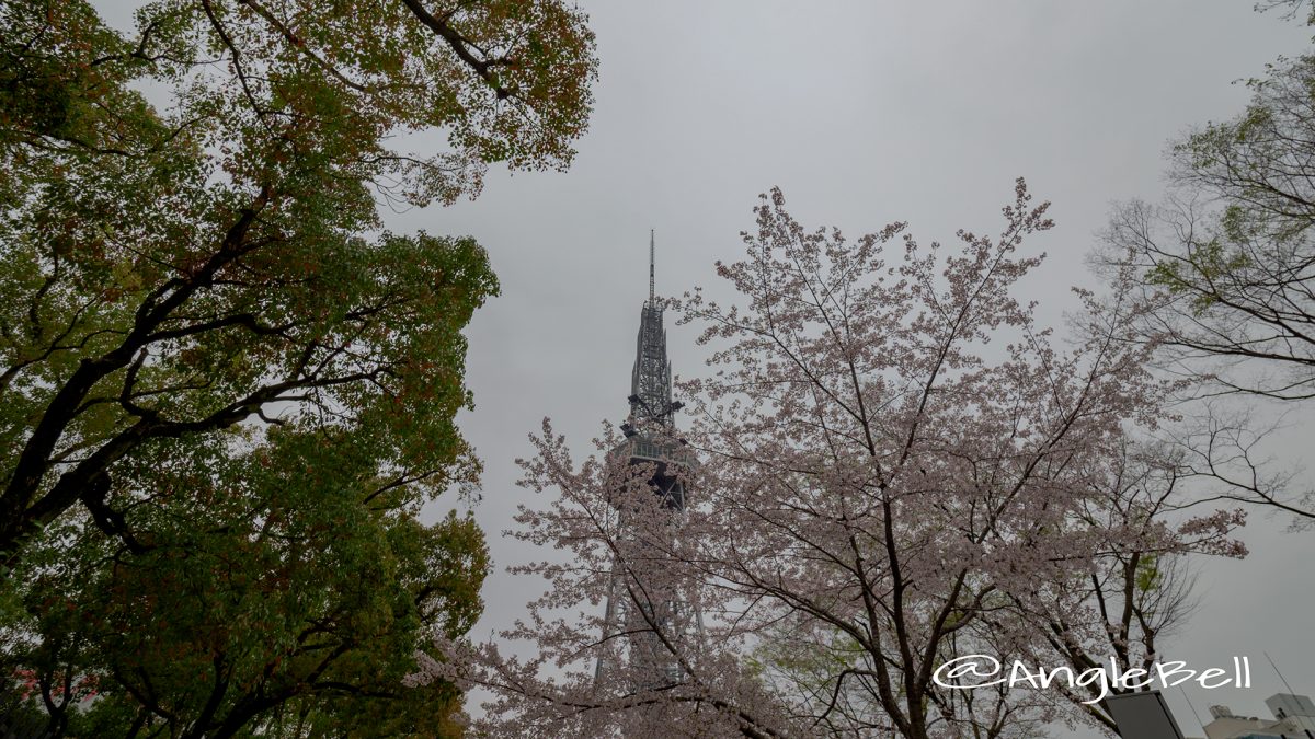 名古屋テレビ塔と街路樹