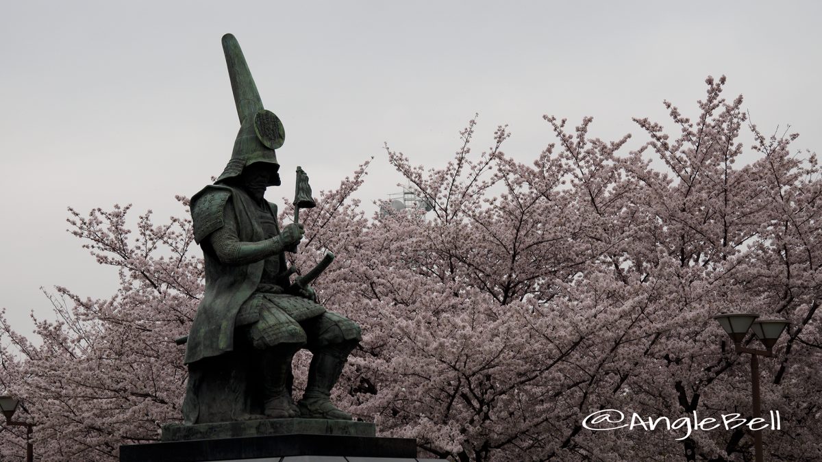 加藤清正像と桜 名城公園