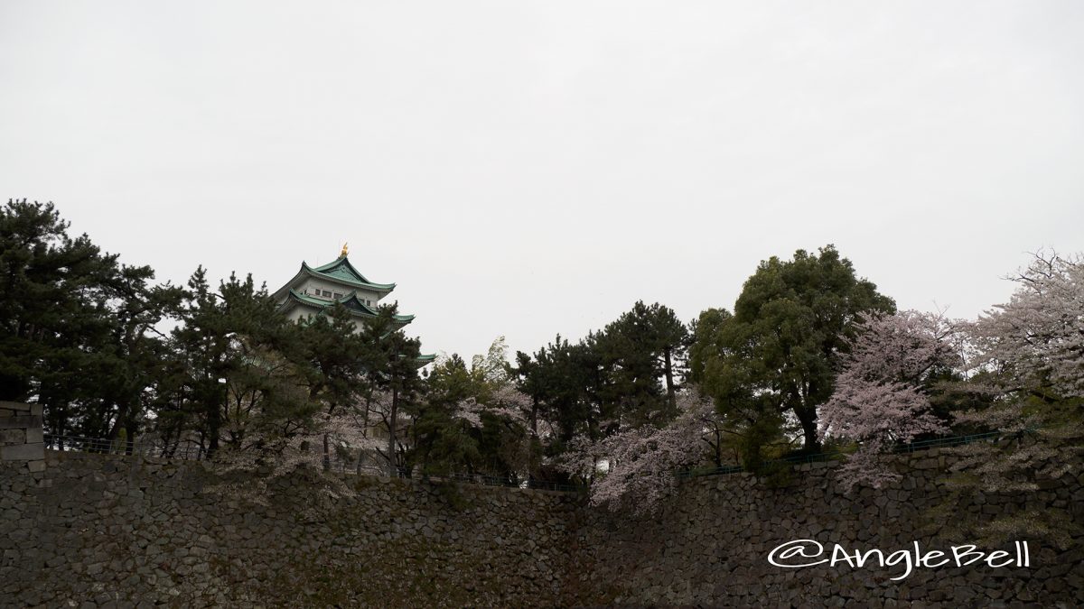 御深井丸外堀と名古屋城と桜