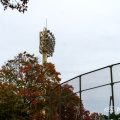 紅葉 鶴舞公園 野球場 ナイター照明塔
