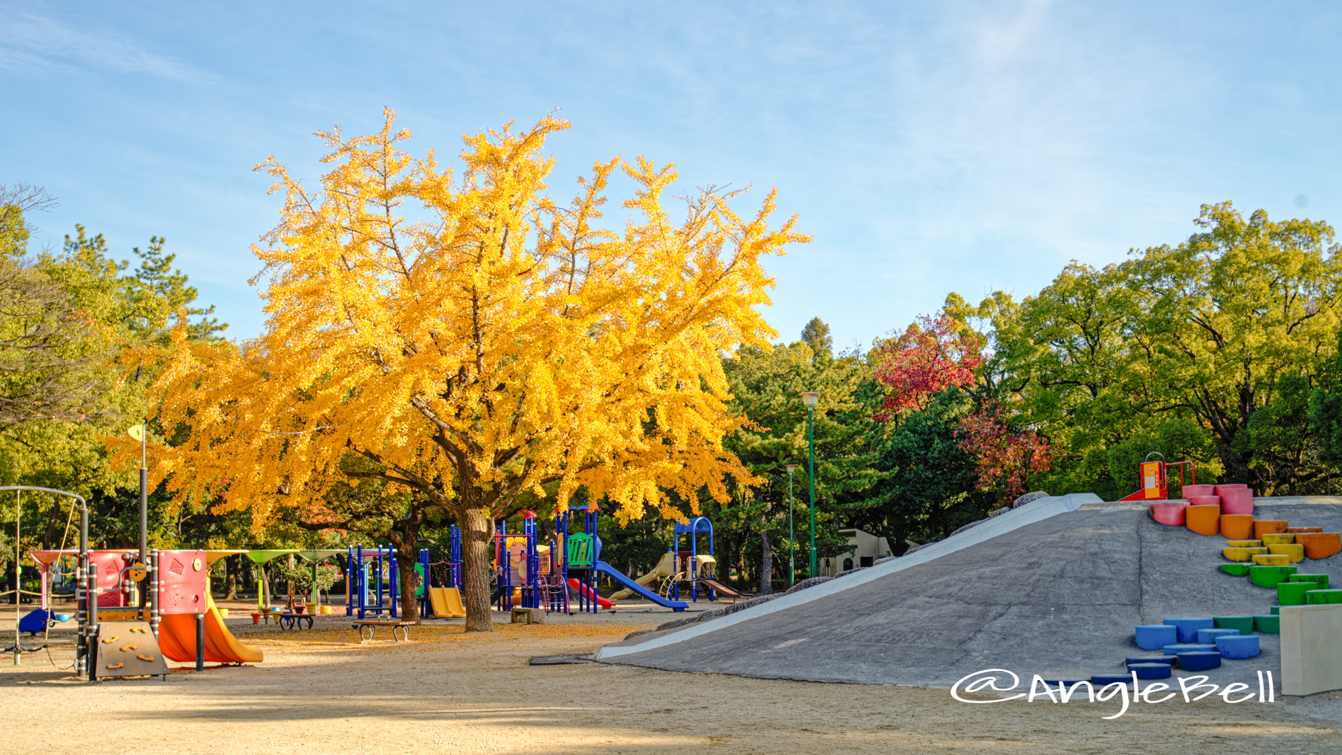 鶴舞公園 子どもの広場 イチョウと石の山 2019