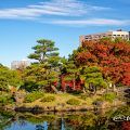 中ノ島と鈴菜橋 黄葉 2019年秋