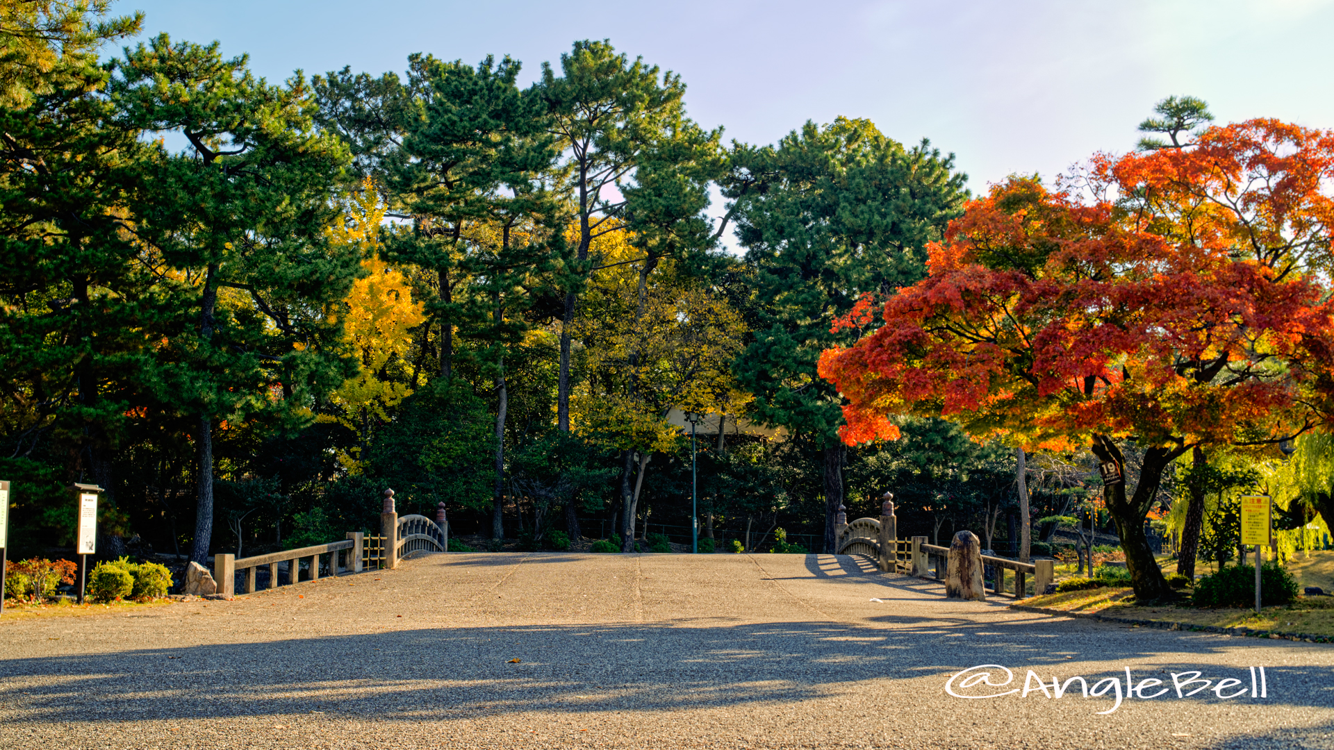 鶴舞公園 鈴菜橋 紅葉 2019年秋