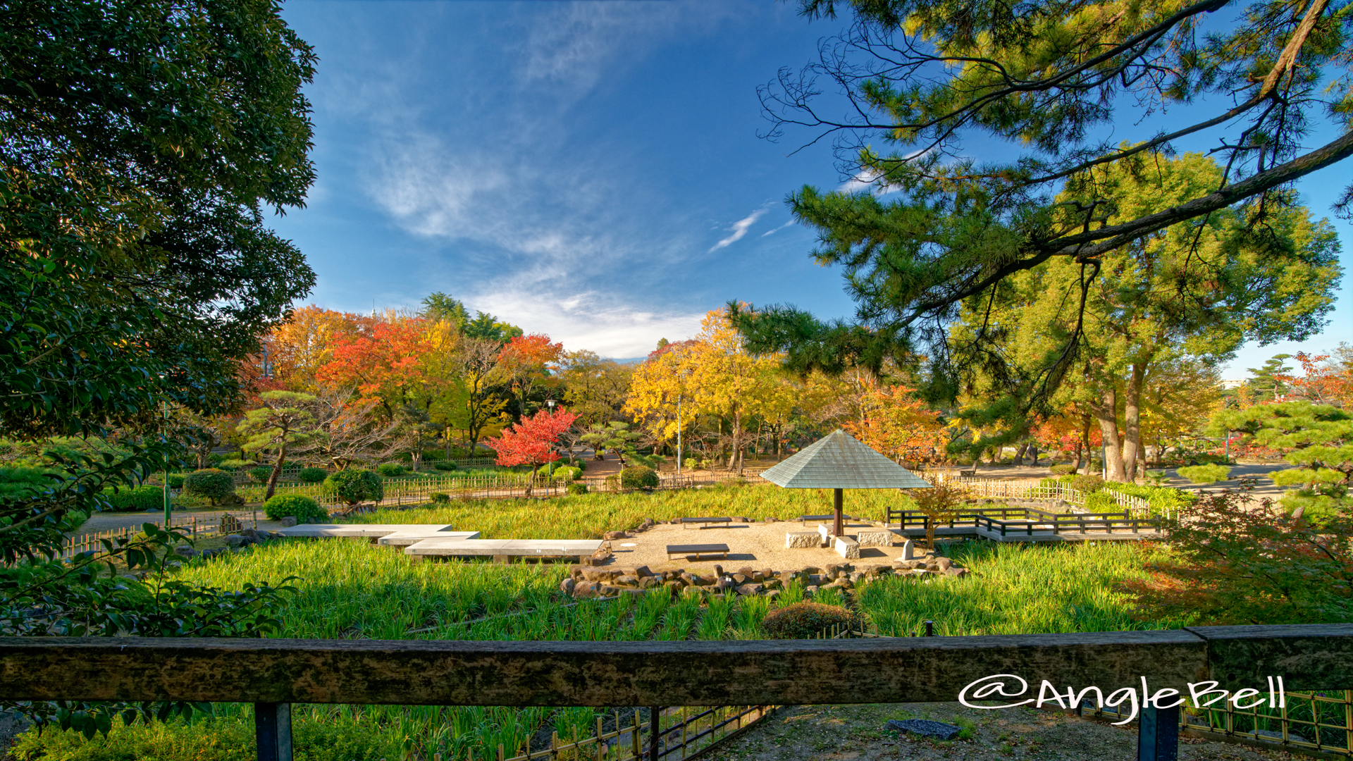 紅葉 鶴舞公園 菖蒲池 全景 2019年秋