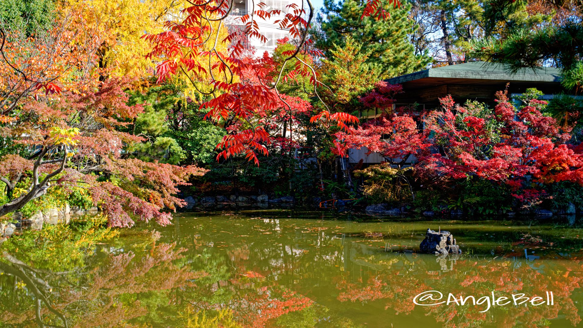 秋の池の紅葉 鶴舞公園 (2019年12月)