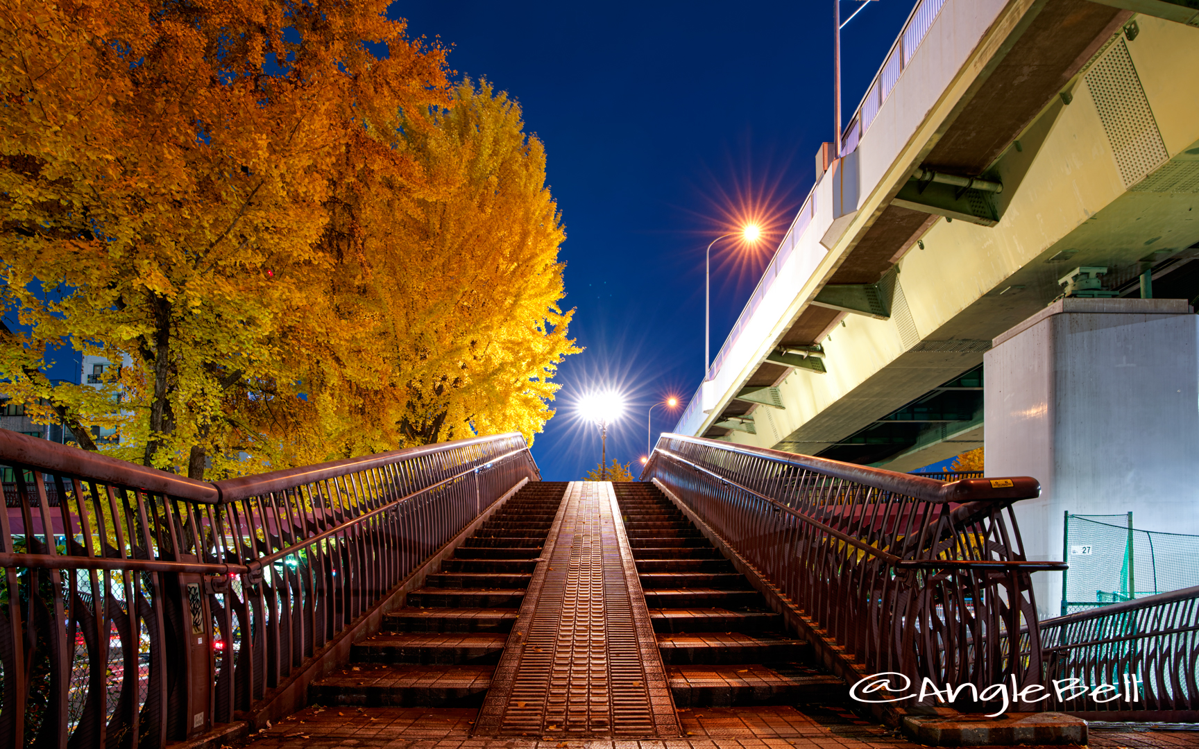 本町通沿い 若宮ブリッジ (歩道橋) 黄葉 2019年