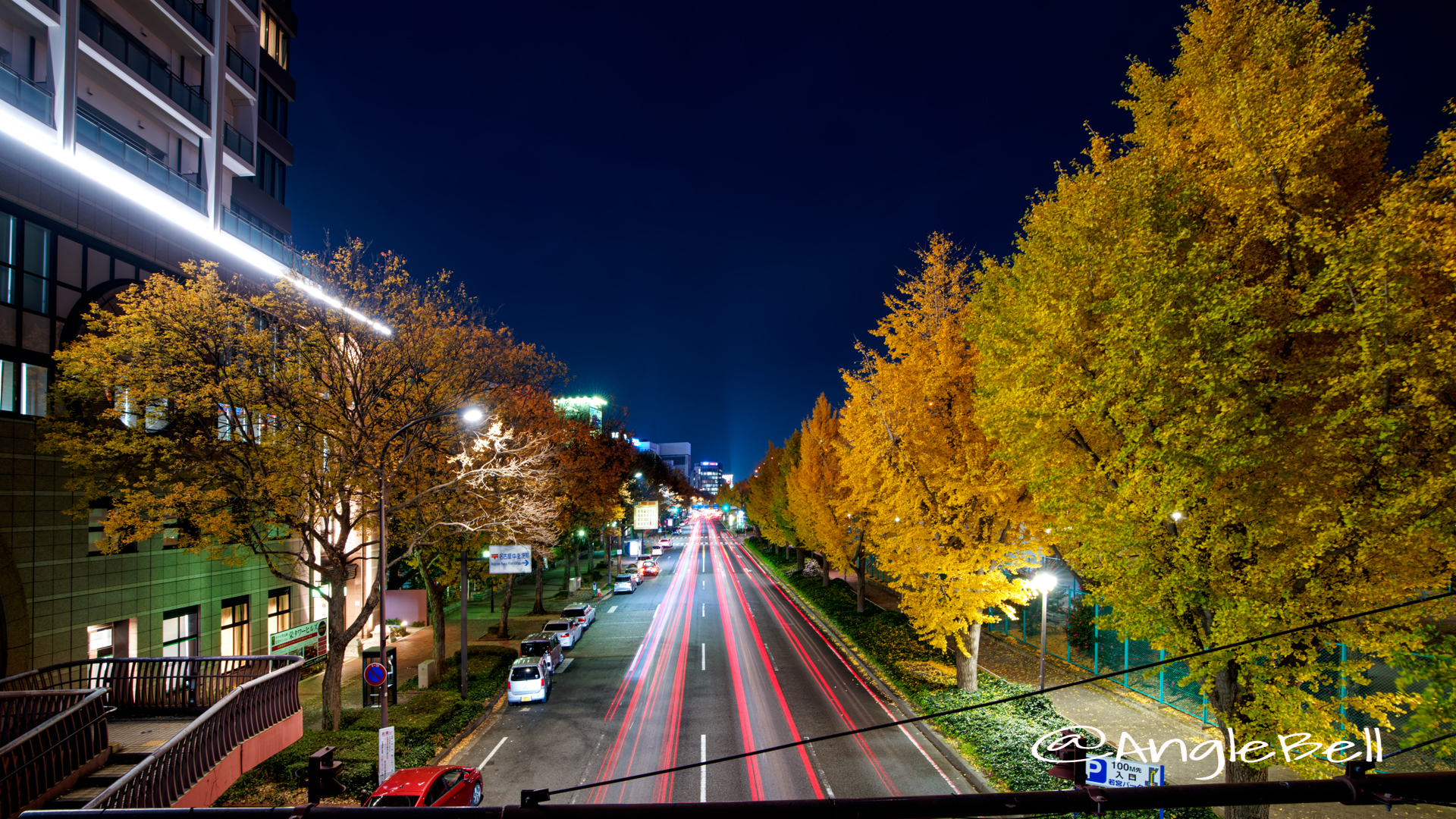 夜景 若宮ブリッジから見る若宮大通 街路樹