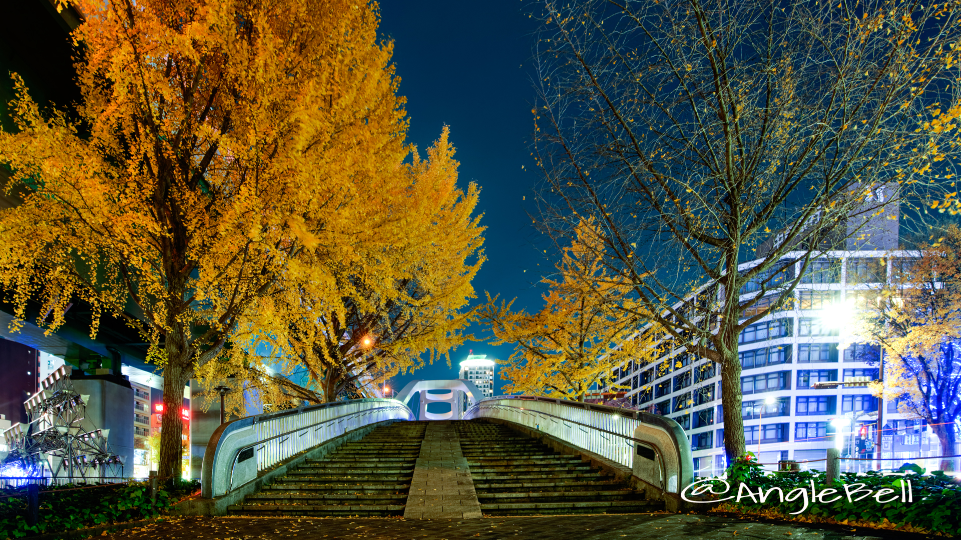 夜景 矢場ブリッジ (若宮大通公園 水の広場)2019年冬