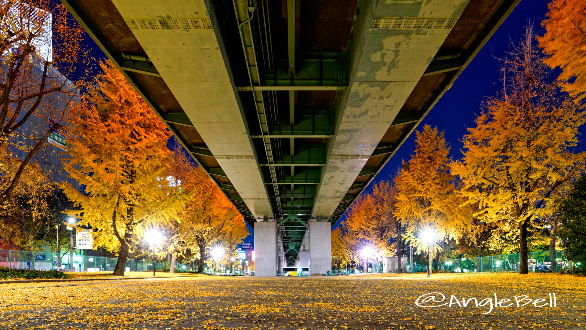 夜景 若宮大通 彫刻の広場 奥 (若宮大通公園)