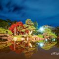 夜景 鶴舞公園 胡蝶ヶ池 中ノ島 ( 鶴の噴水・巣ごもりの鶴・亀 ）