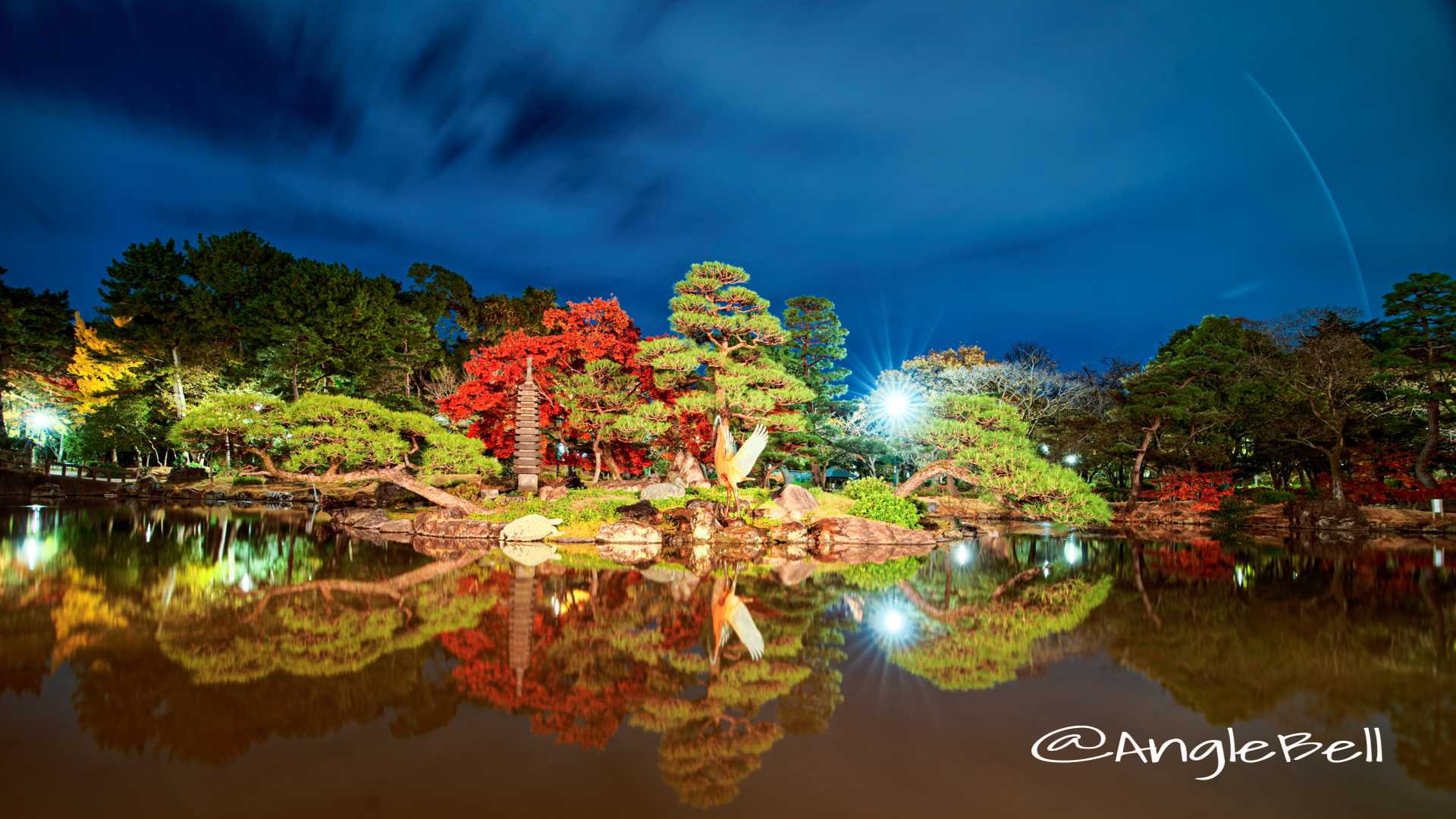 夜景 鶴舞公園 胡蝶ヶ池 中ノ島 ( 鶴の噴水・巣ごもりの鶴・亀 ）