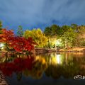 夜景 春日亭から見る胡蝶ケ池と鈴菜橋 2019