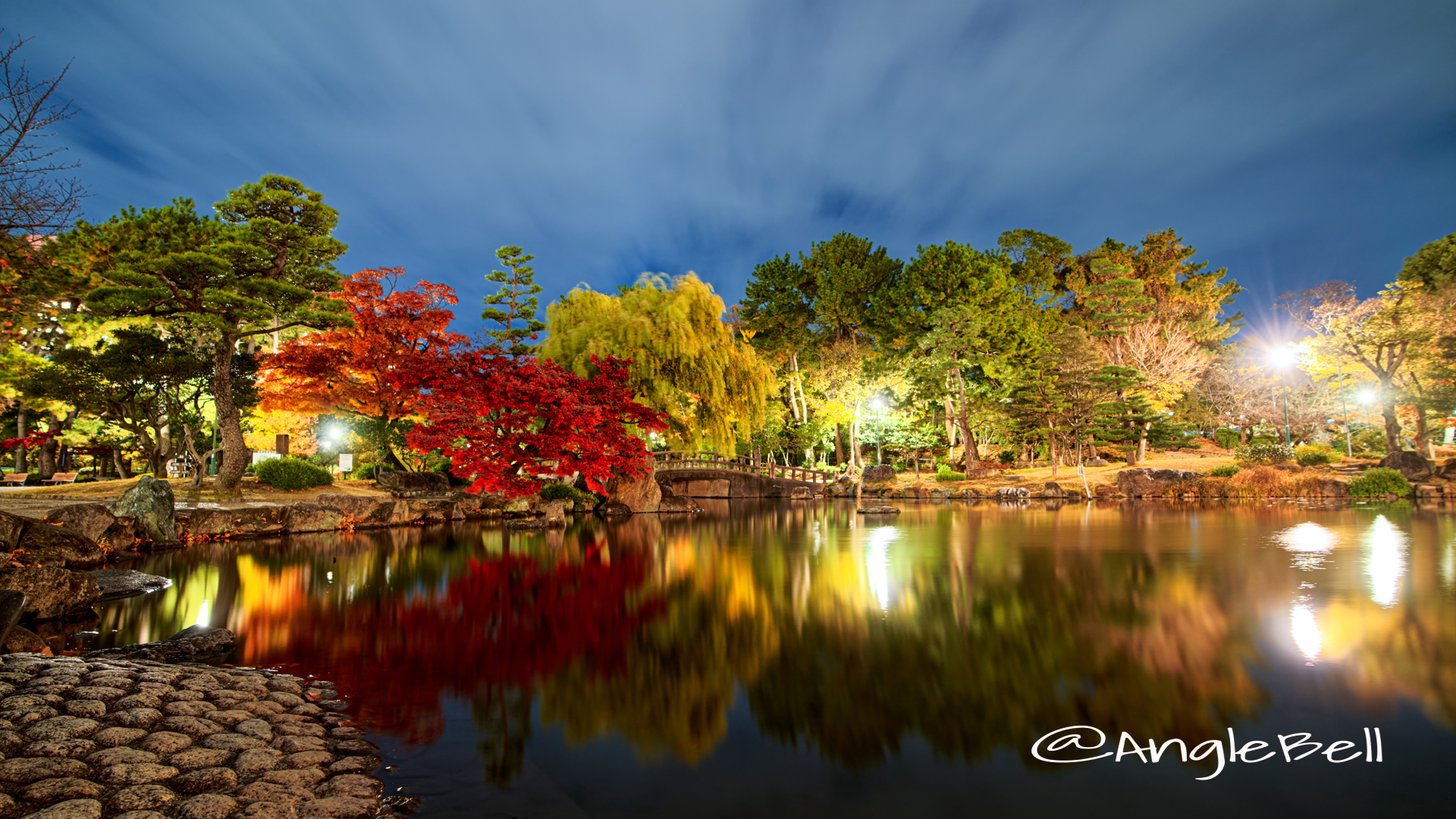 夜景 春日亭から見る胡蝶ケ池と鈴菜橋 2019