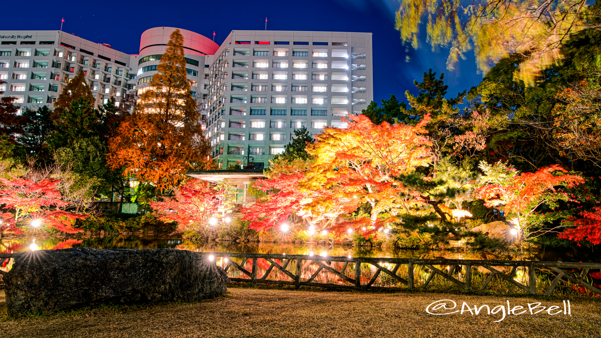 秋の池 紅葉ライトアップ 2019年 鶴舞公園