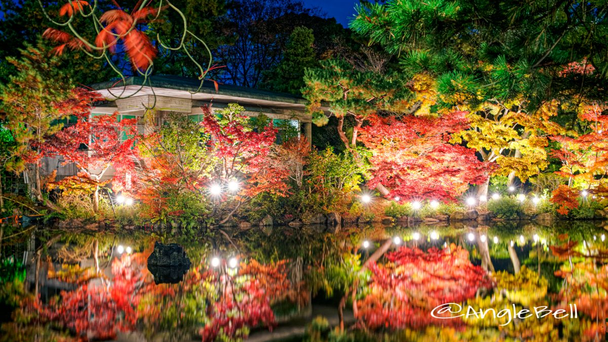 鶴舞公園 秋の池 ライトアップ 2019