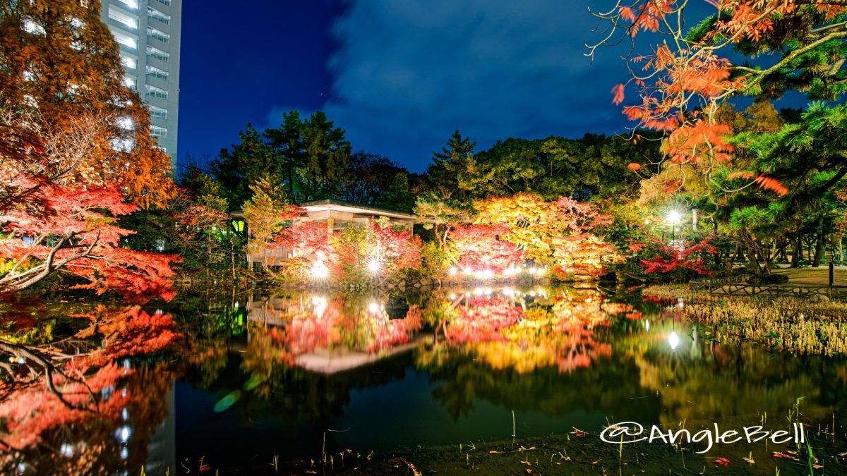 秋の池 鶴舞公園 ライトアップ2019冬