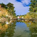 夜景 鶴舞公園 鈴菜橋と胡蝶ヶ池 2019冬