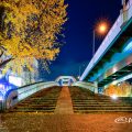 夜景 矢場ブリッジ (若宮大通公園 若宮広場)2019年冬