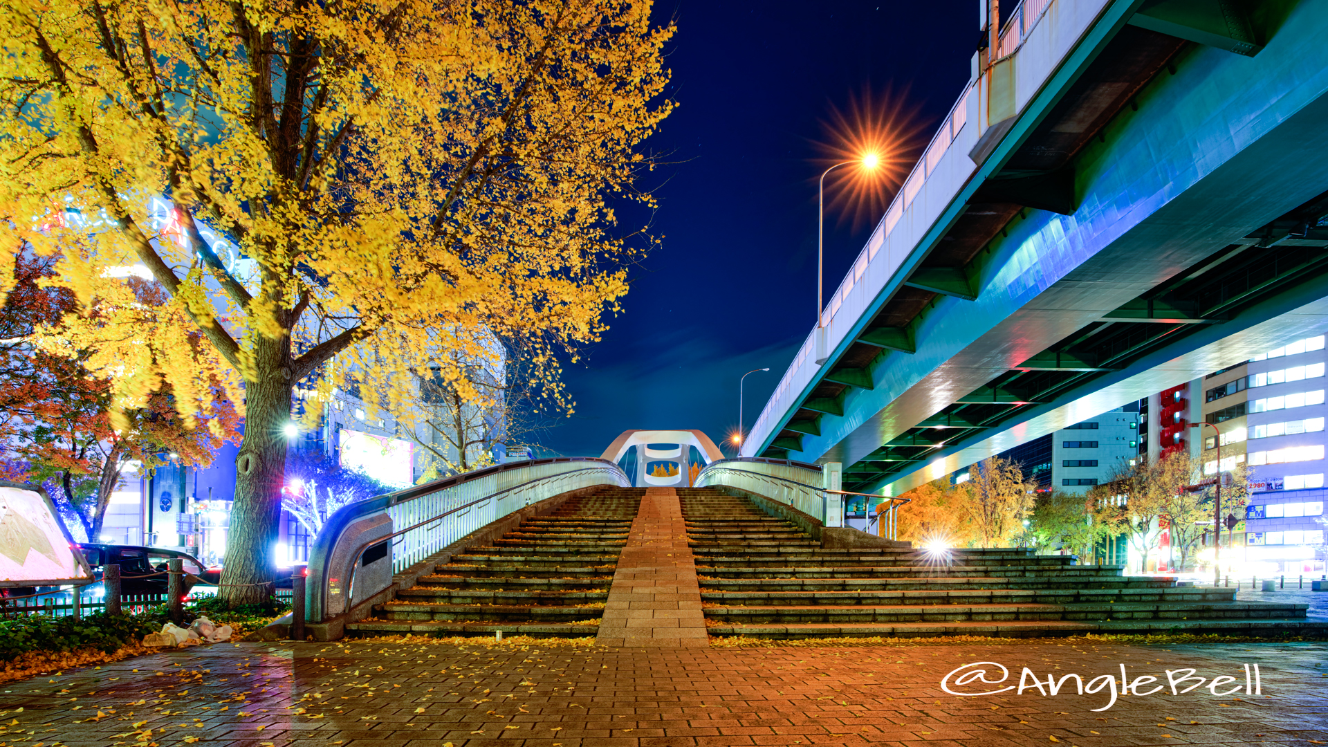 夜景 矢場ブリッジ (若宮大通公園 若宮広場)2019年冬