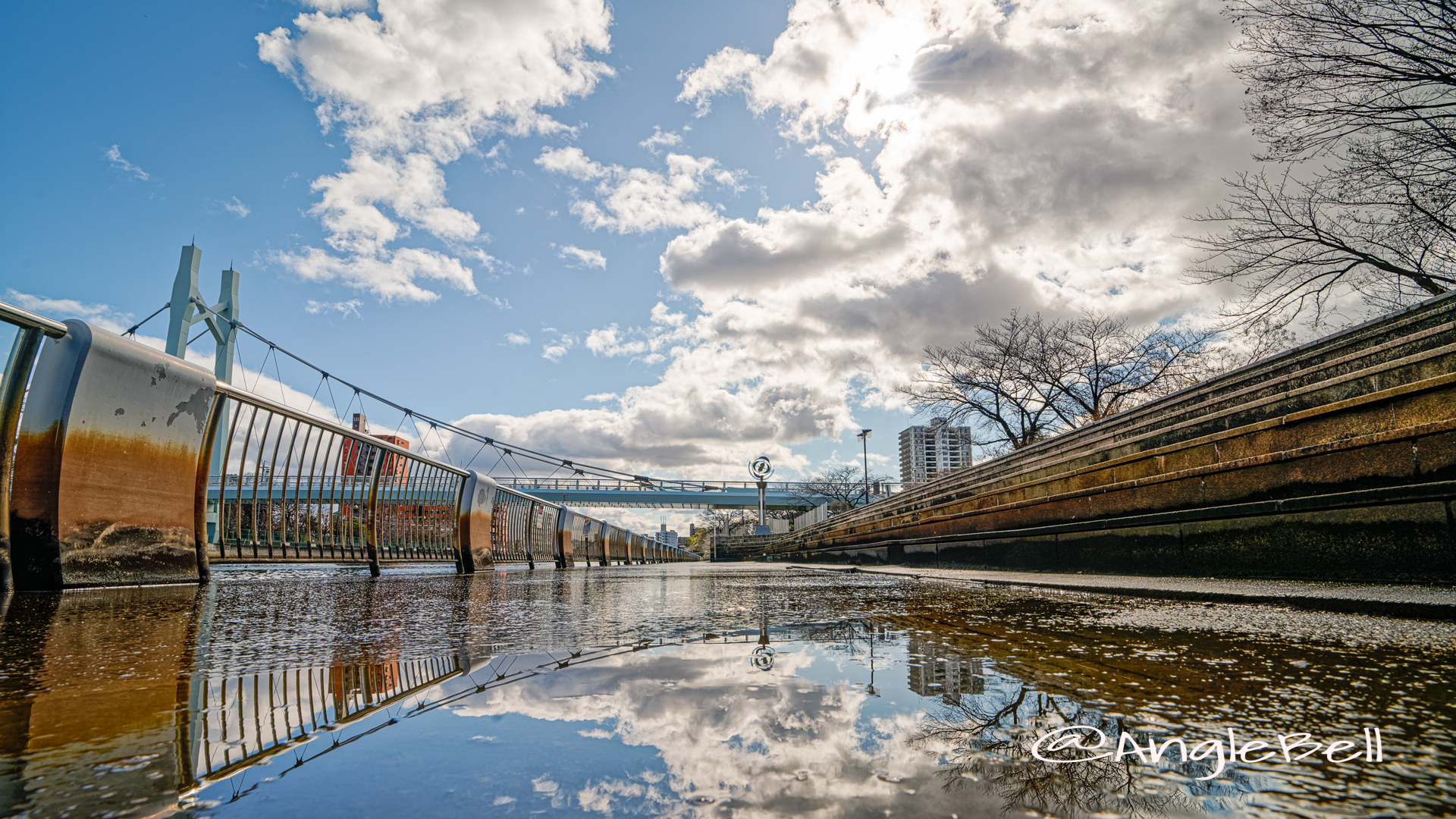 白鳥公園 熱田記念橋 January 2020