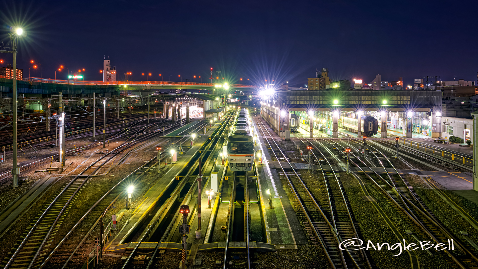 向野橋の上から見る名古屋車両区 夜景 2020