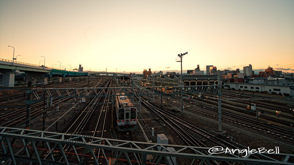 向野橋の上から見る名古屋車両区 夕景 February 2020