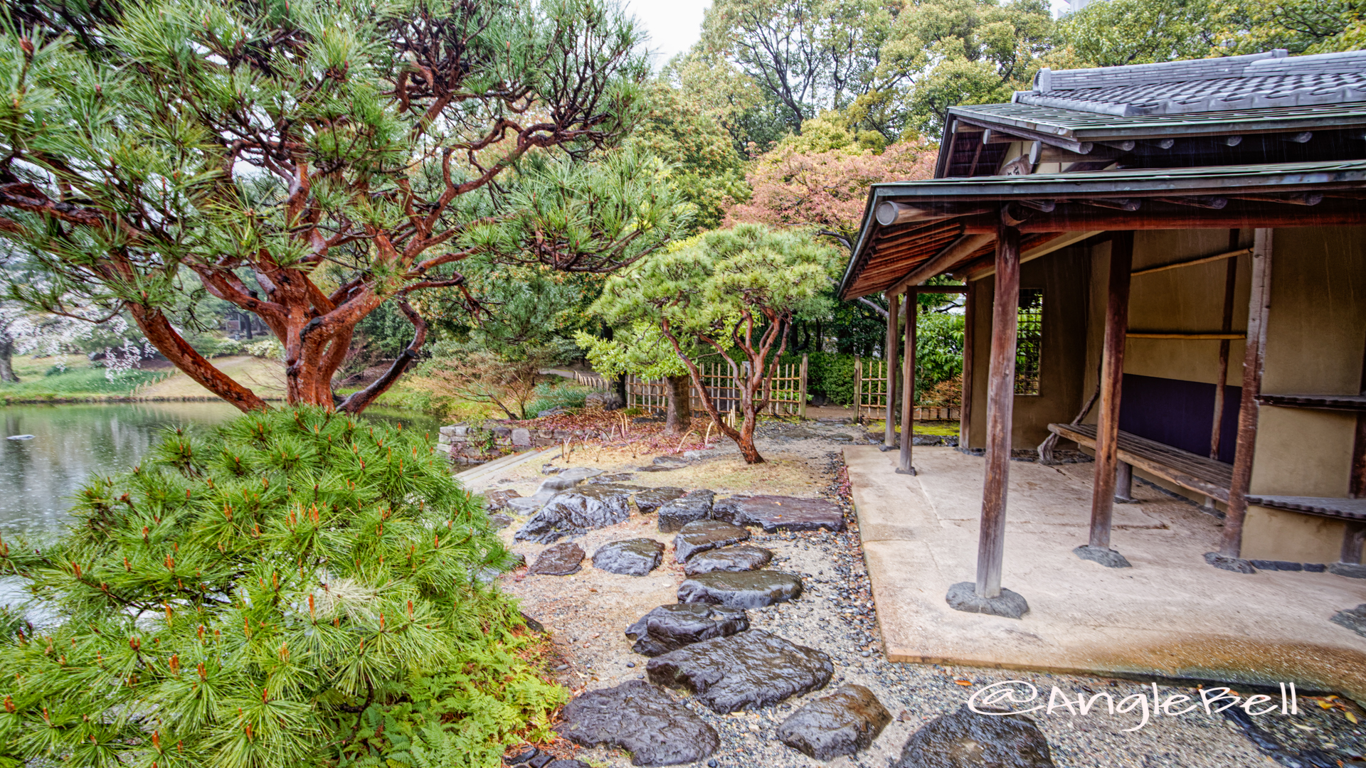 雨天 白鳥庭園 遊濱亭 March 2020