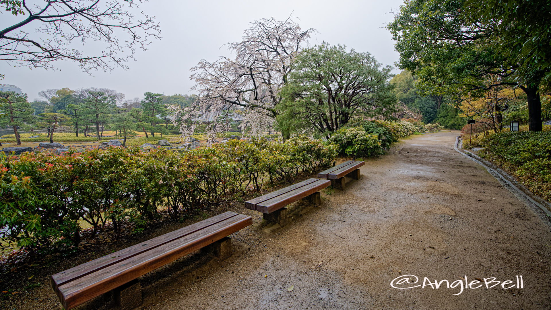 白鳥庭園 水琴窟前のベンチ March 2020