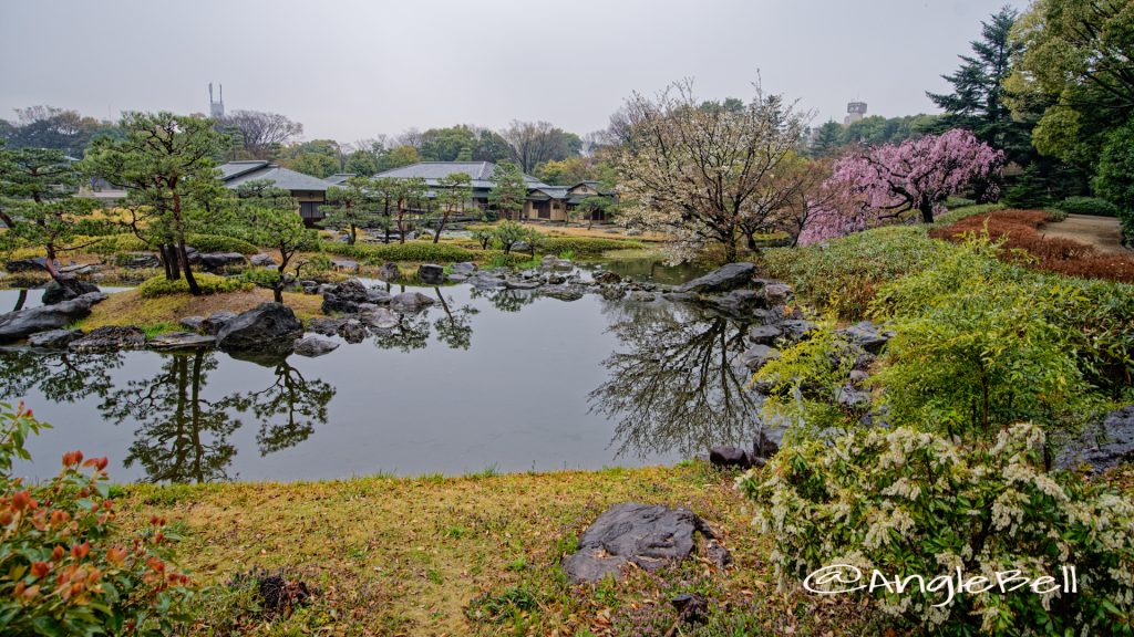 雨の日の水郷の景 白鳥庭園 March 2020