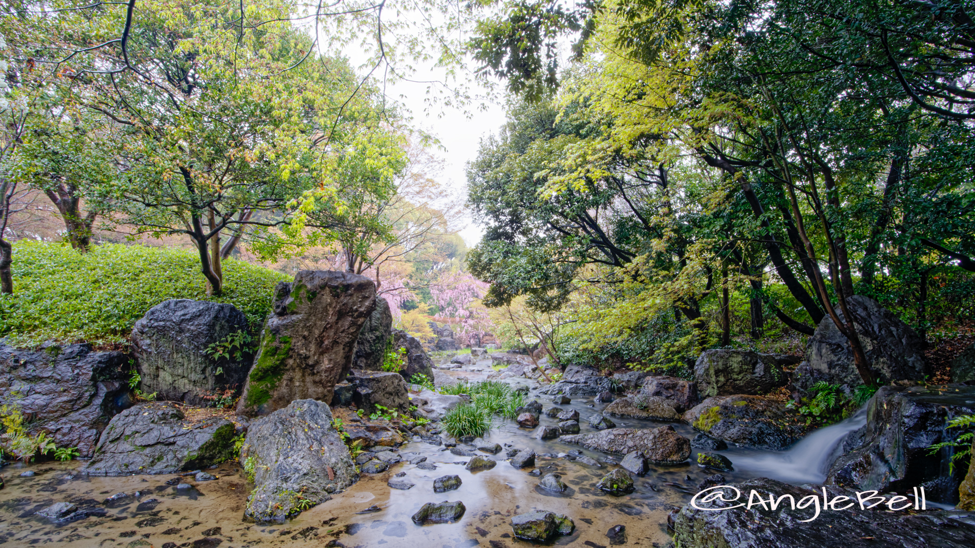 雨天 白鳥庭園 滝の景 (木曽橋 渓谷) March 2020