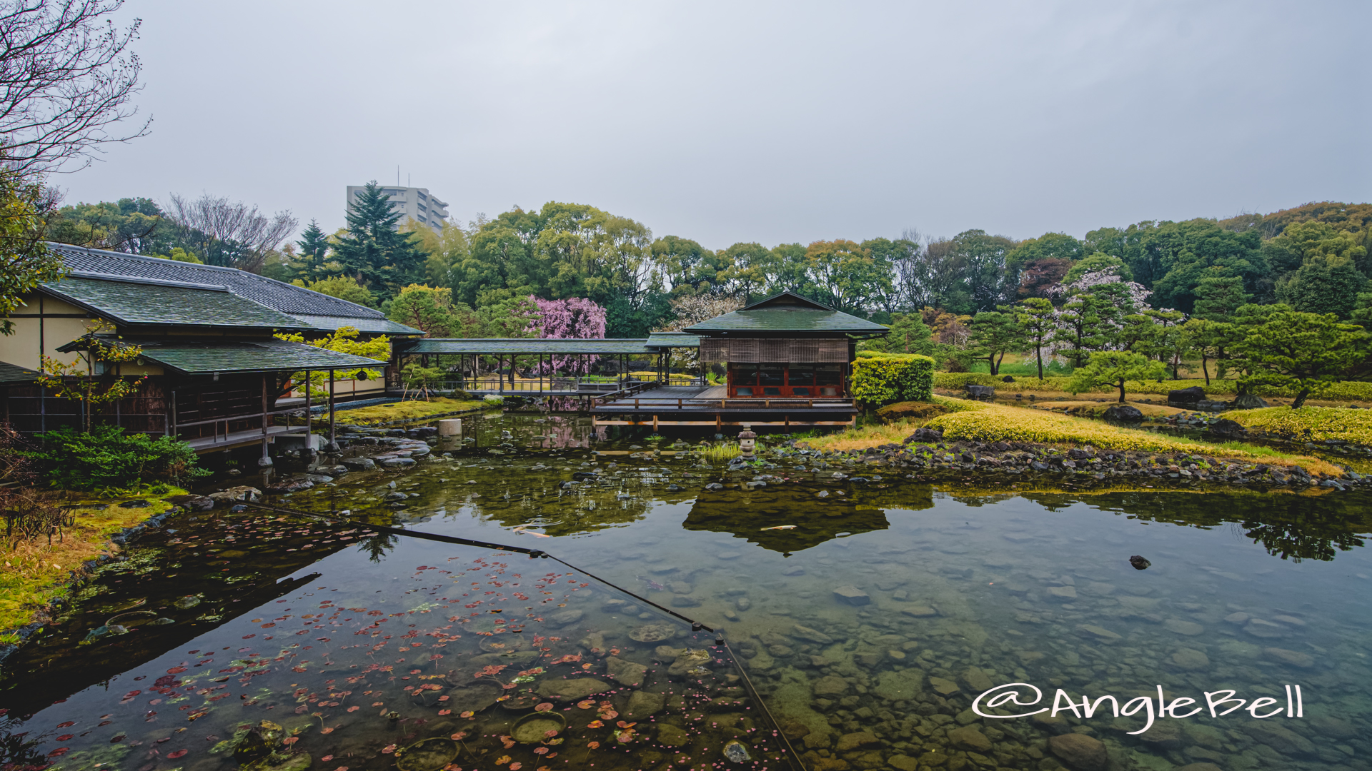 雨天 白鳥庭園 清羽亭 March 2020