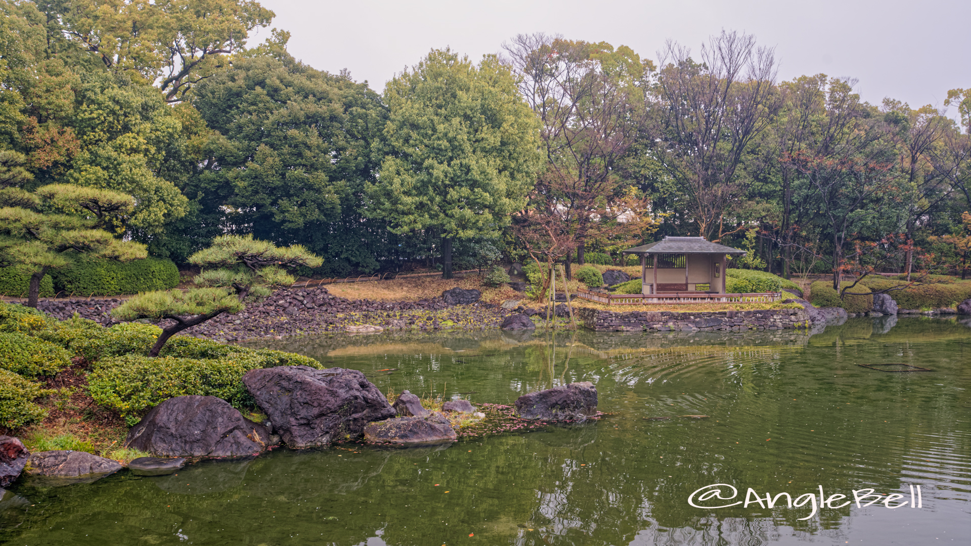 白鳥庭園 中の池 浮身四阿 March 2020