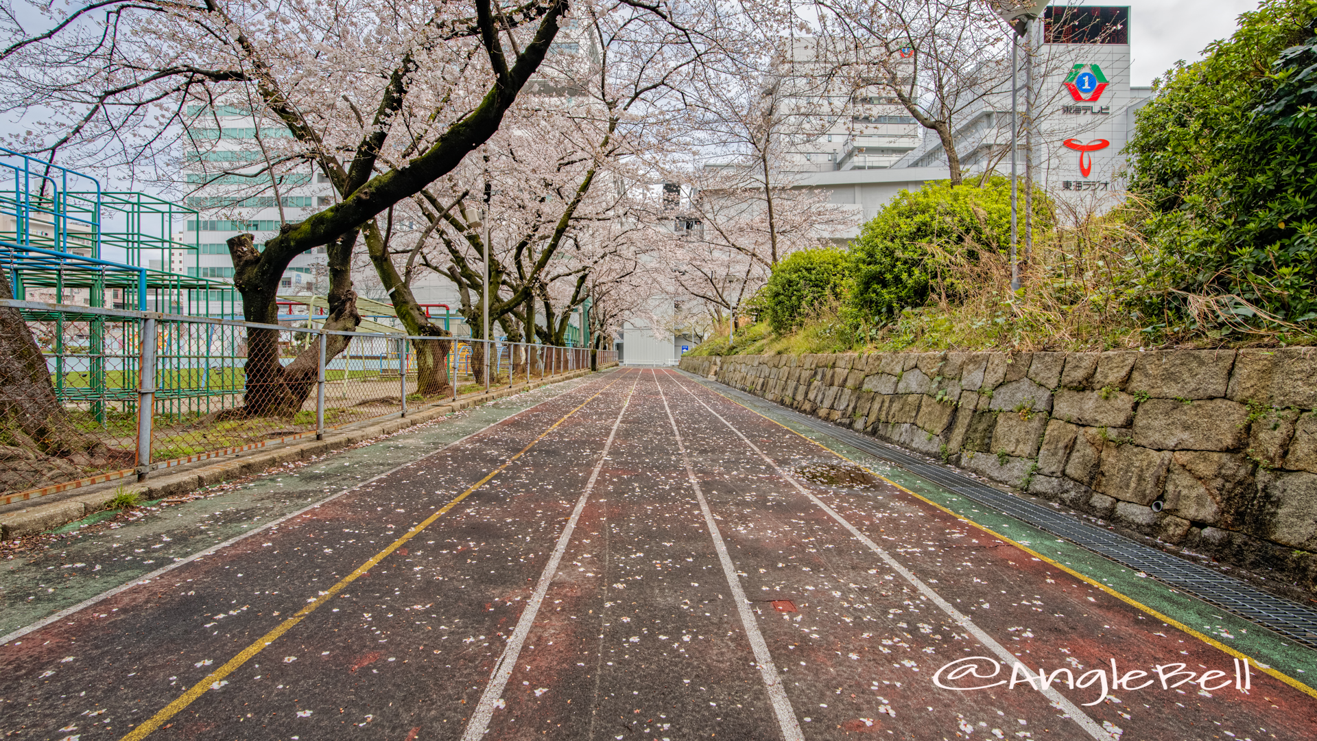 第2号栄公園 園路東側の桜 March 2020