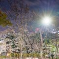 夜景 若宮大通公園から見る若宮八幡社 April 2020