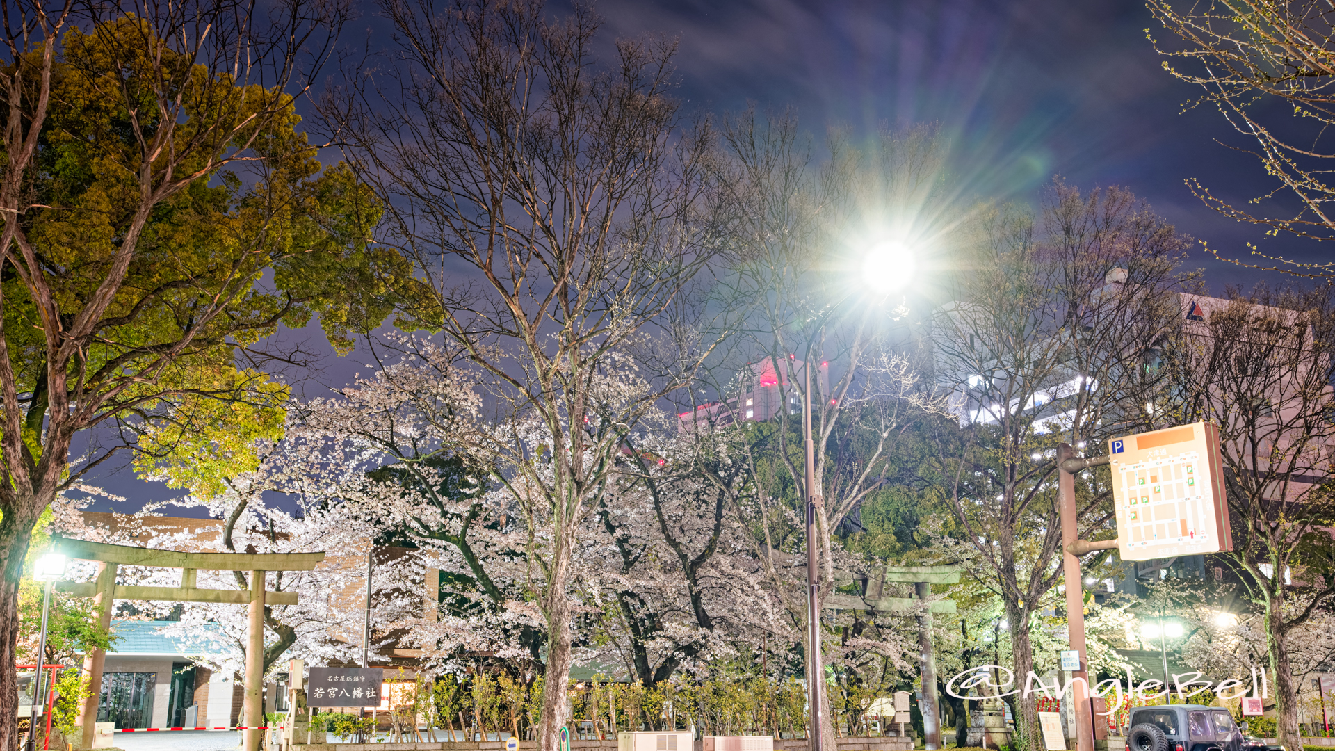 夜景 若宮大通公園から見る若宮八幡社 April 2020