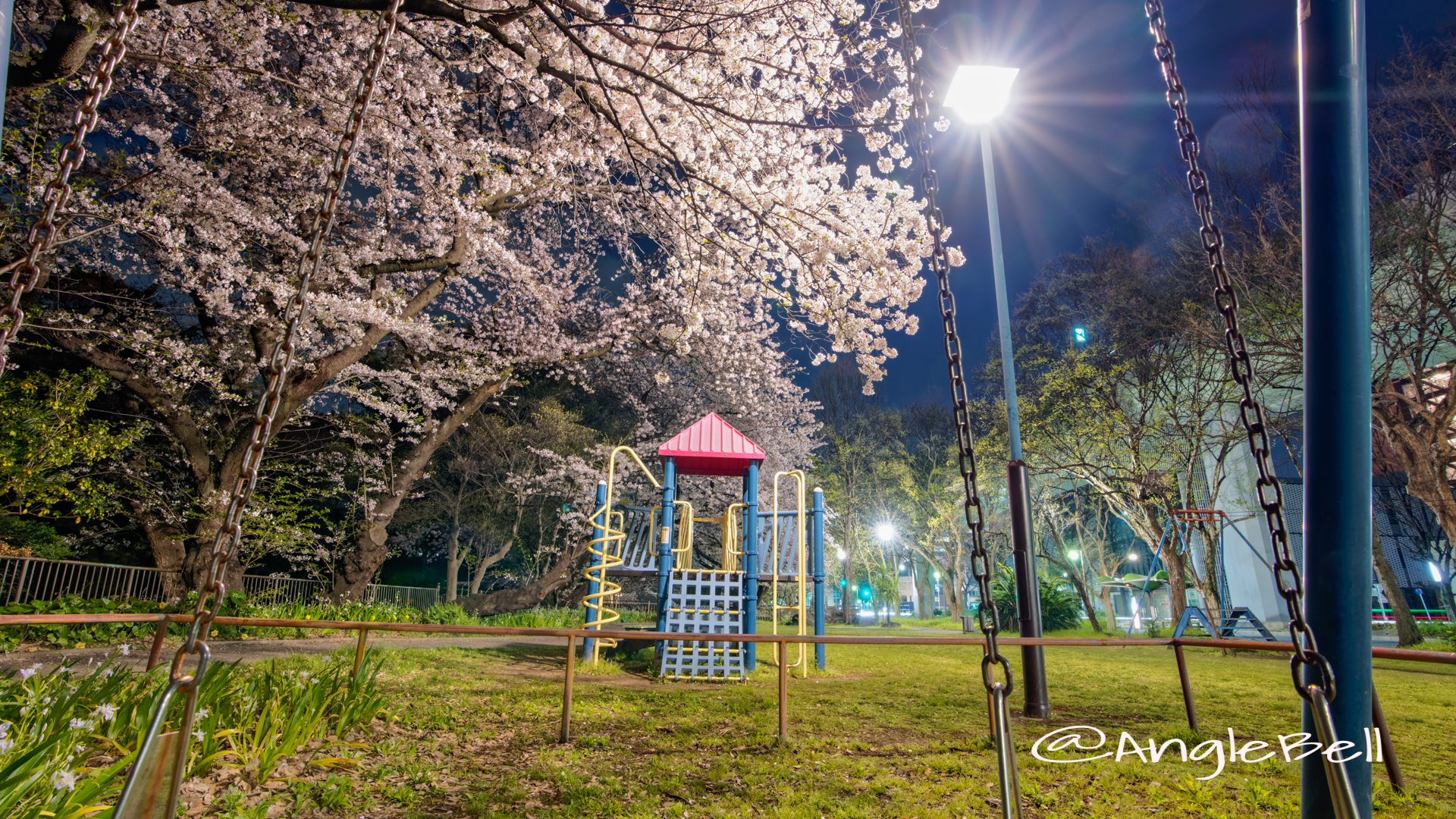 夜景 名城公園 ライオンヘルスパーク ブランコから見た桜と滑り台 2020