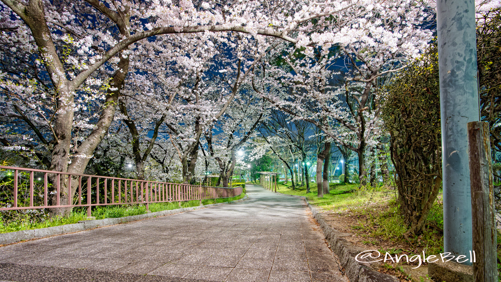 夜景 名城公園 二の丸東駐車場 April 2020