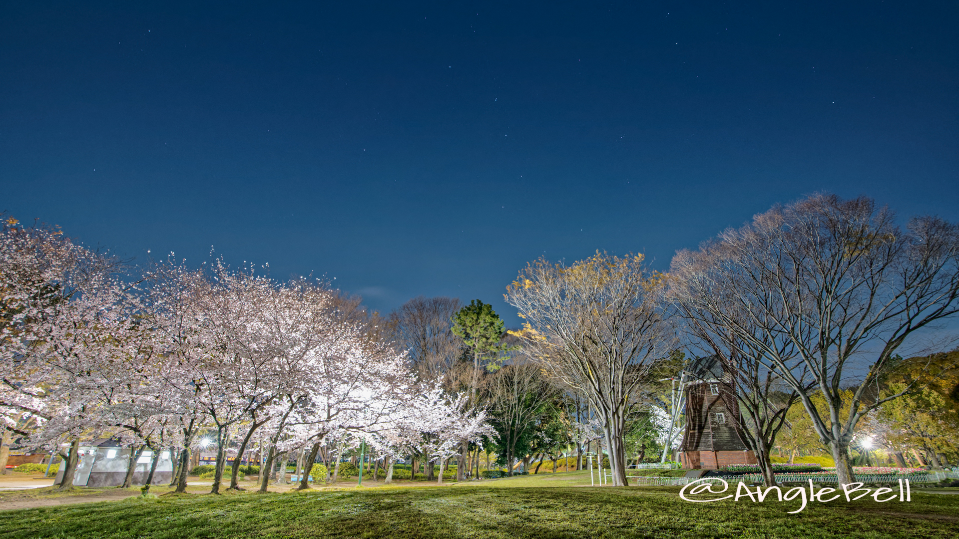 夜景 名城公園北園 芝生広場 April 2020