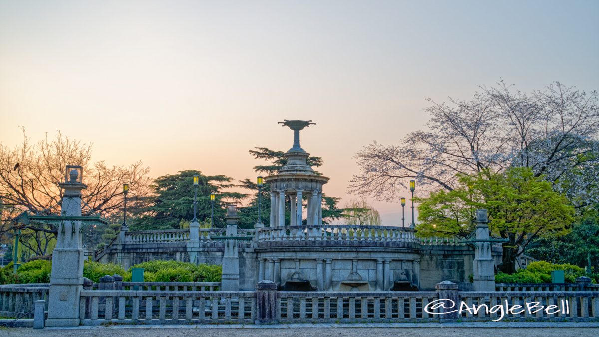 朝焼けの噴水塔と桜 (鶴舞公園) 2020年春