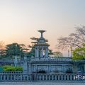 朝焼けの噴水塔と桜 (鶴舞公園) 2020年春