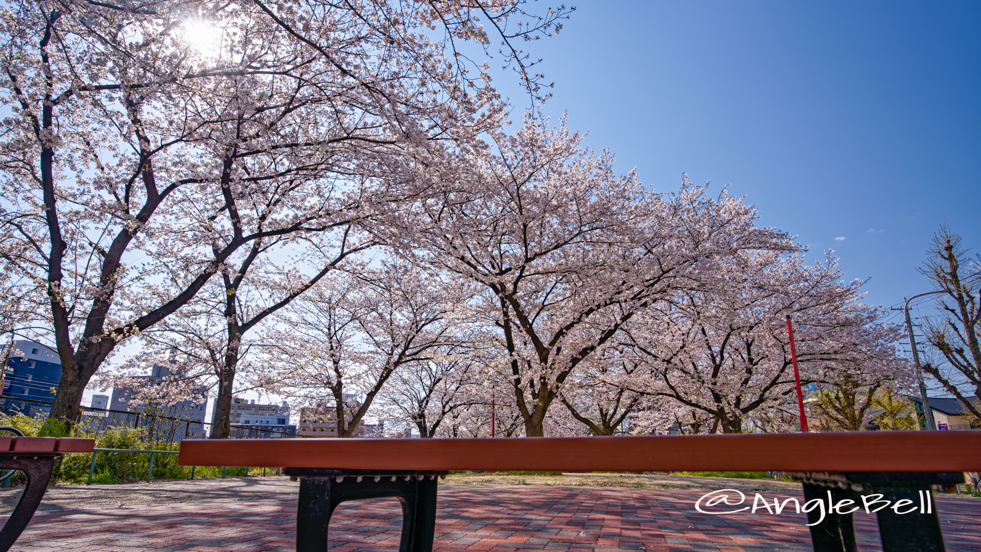 金山公園の桜 April 2020