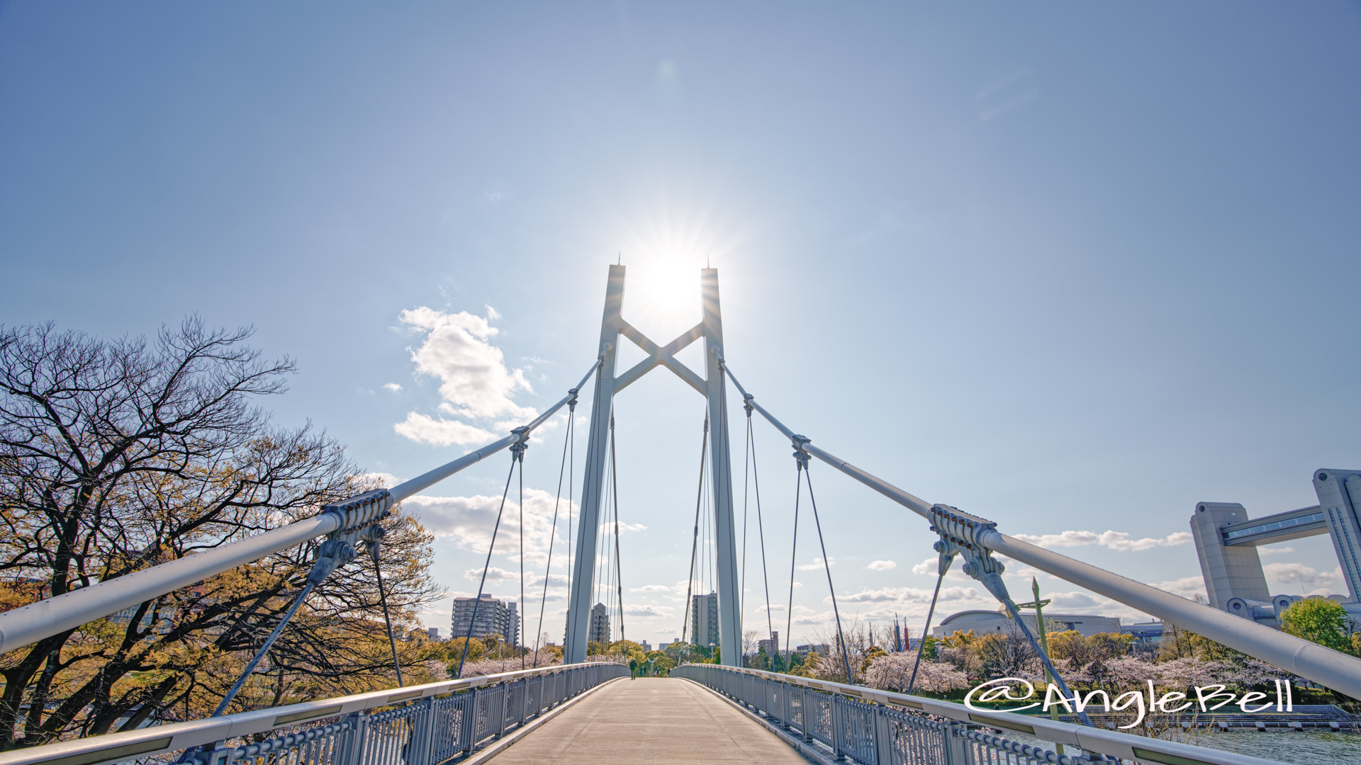 熱田神宮公園野球場側から見る熱田記念橋 と桜 2020年春