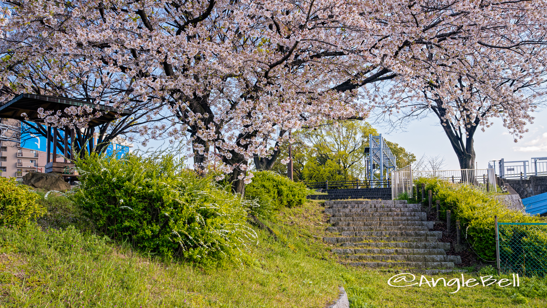 熱田区白鳥 堀川端公園 April 2020