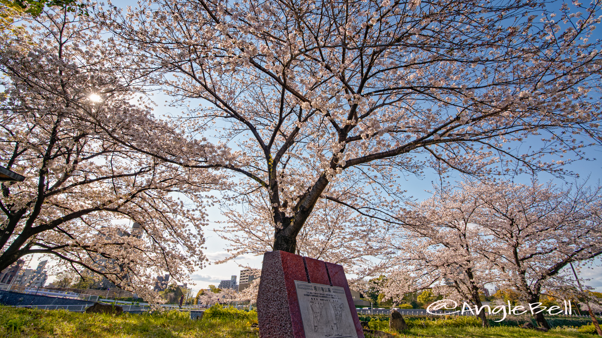 堀川端公園 April 2020