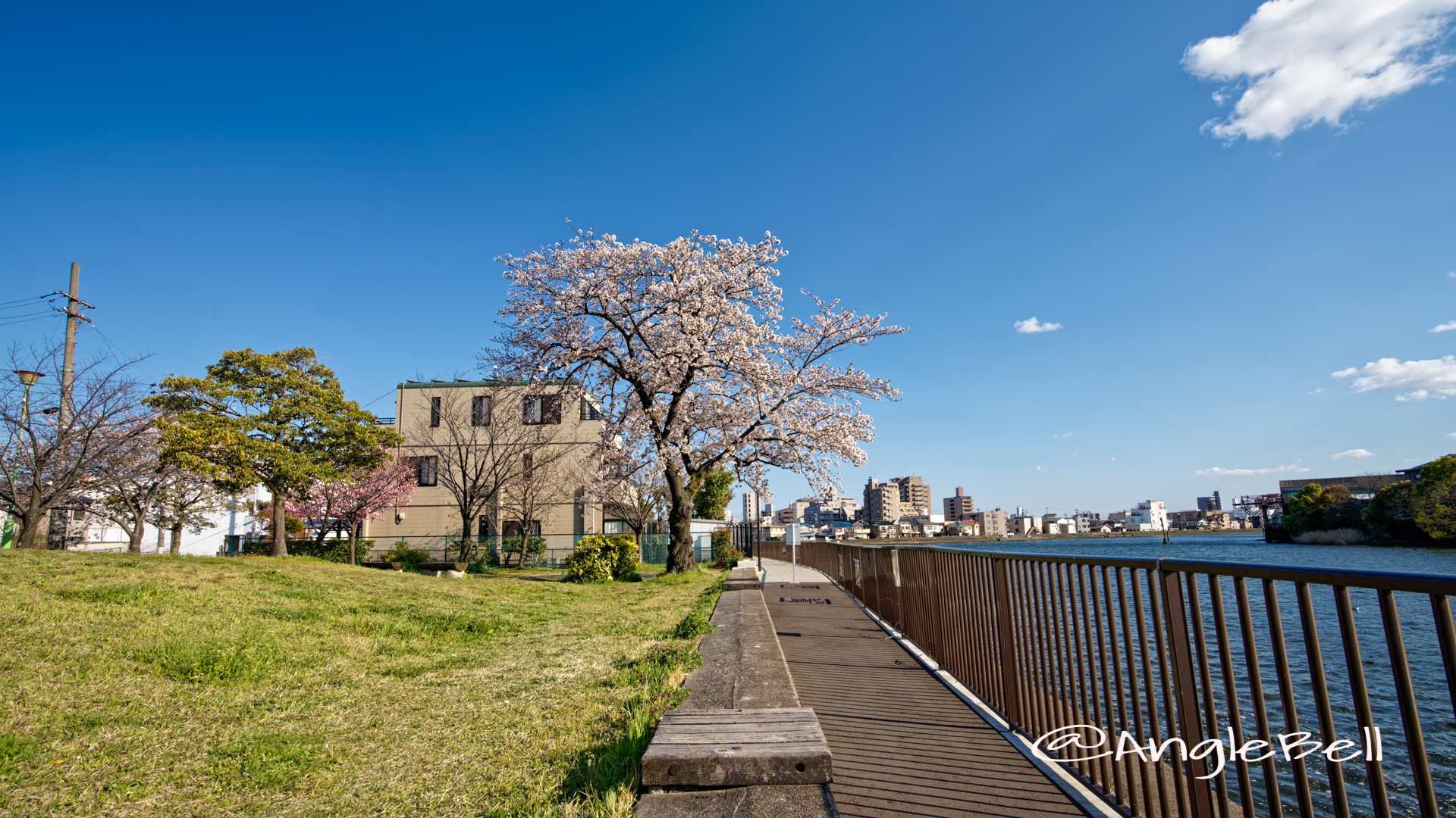 大瀬子浜公園 熱田区大瀬子町 April 2020