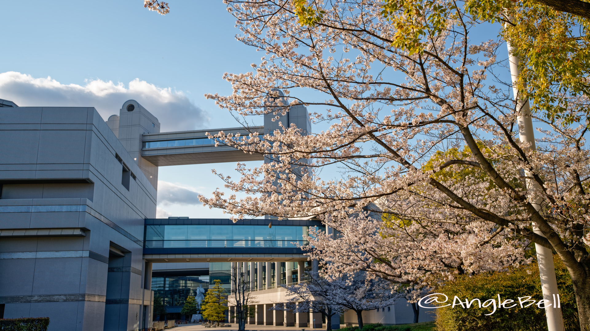 名古屋国際会議場と桜 2020年春