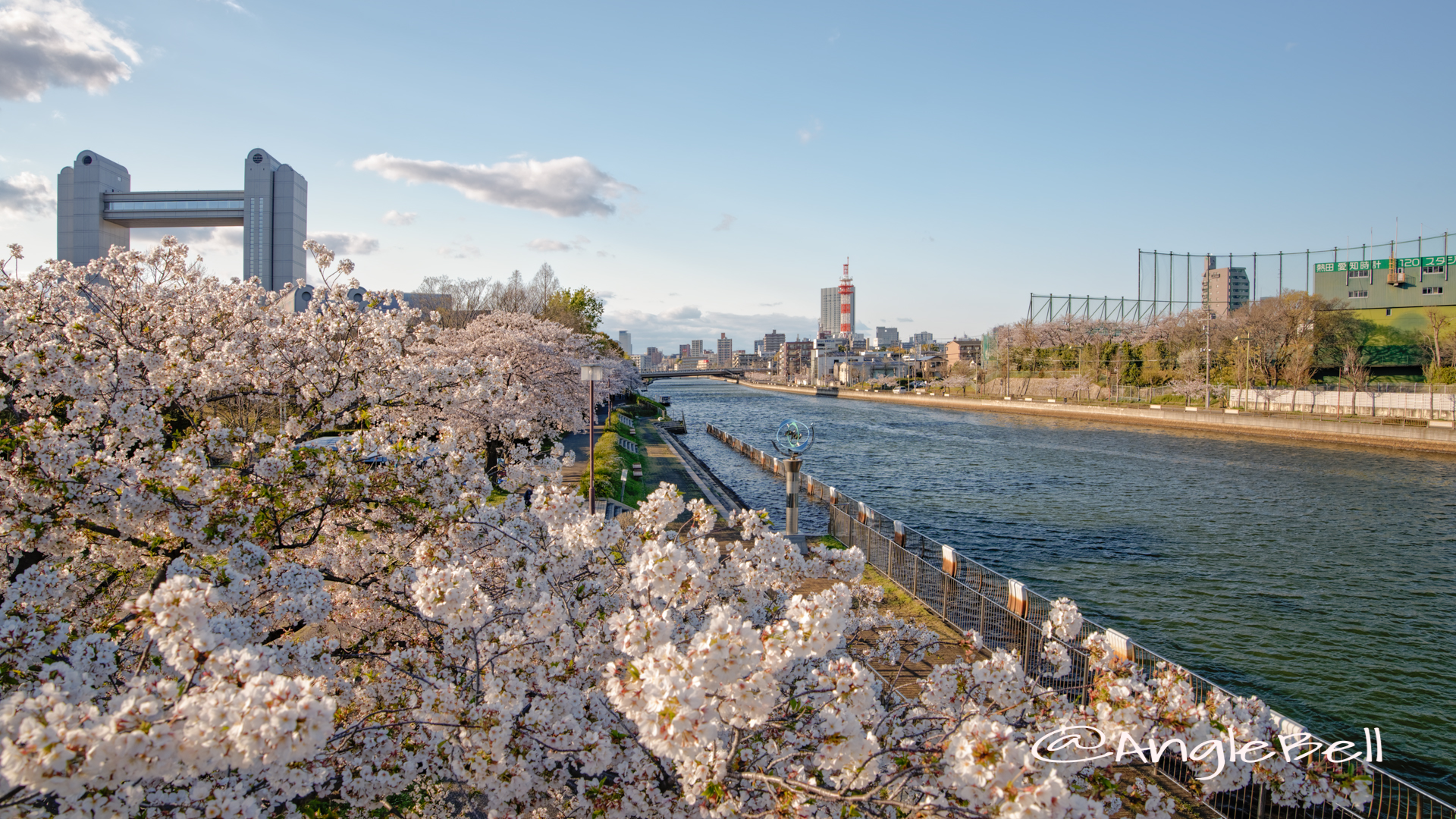 白鳥公園 桜並木と名古屋国際会議場 2020