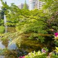 秋の池 鶴舞公園 春 2020