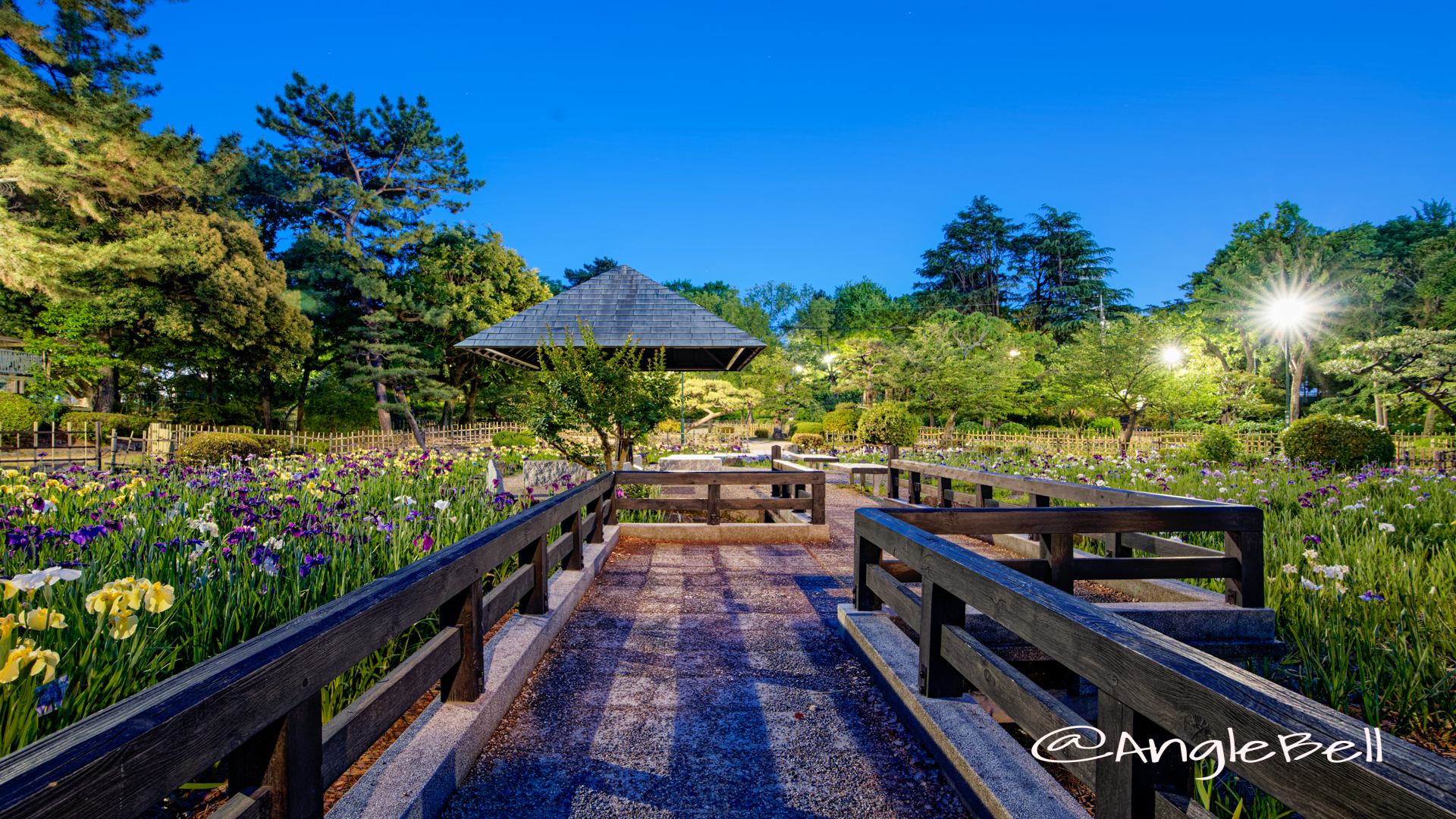 夜景 菖蒲池 (四阿) 鶴舞公園 May 2020