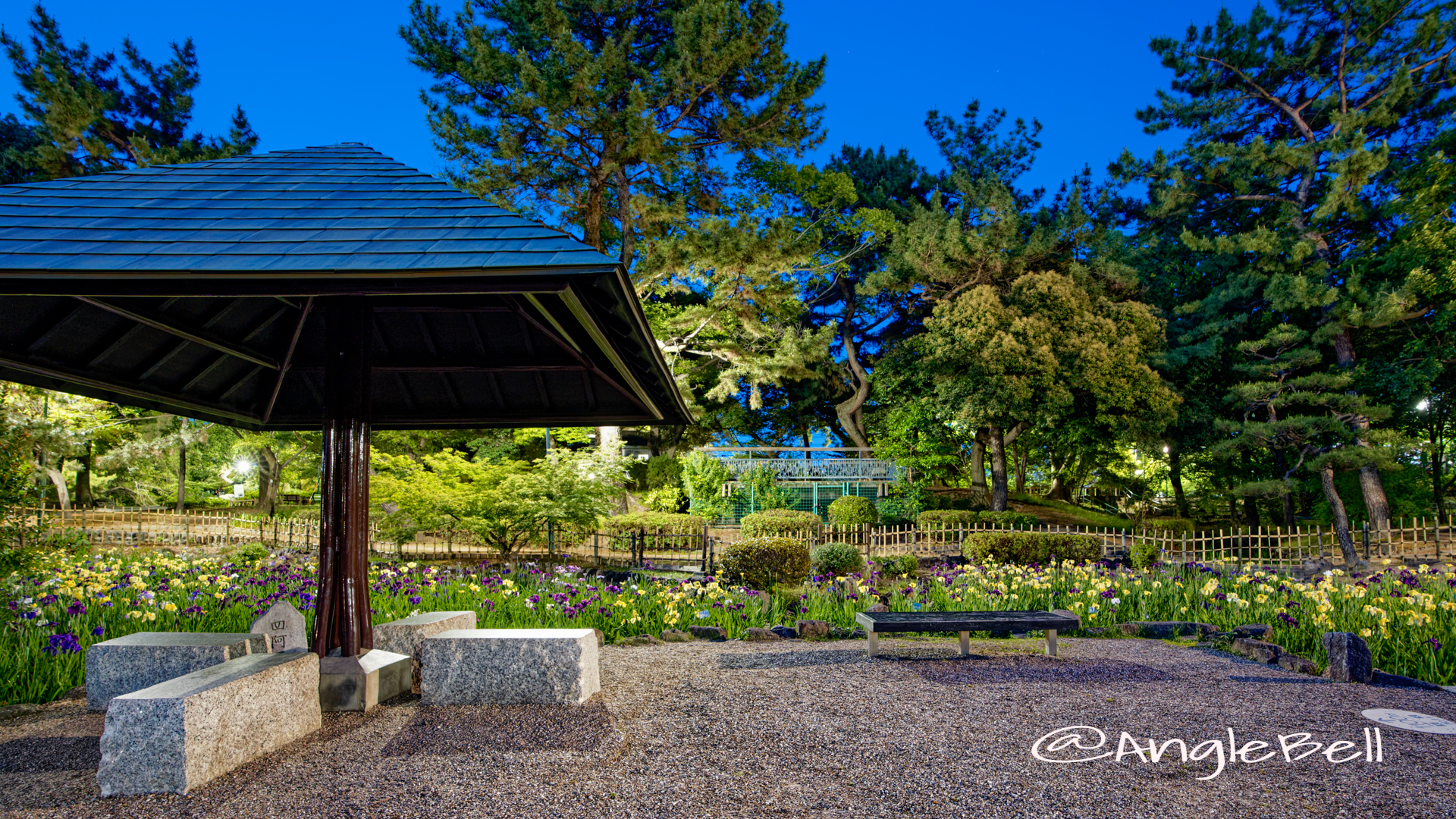 夜景 四阿と菖蒲池 (鶴舞公園) May 2020